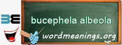 WordMeaning blackboard for bucephela albeola